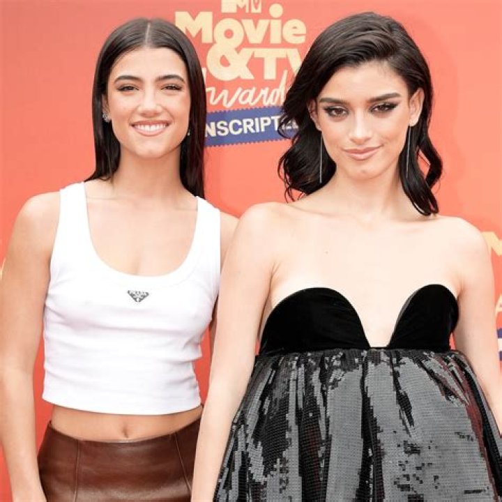 Charli D’Amelio vs. Dixie D’Amelio: Who’s More Popular?