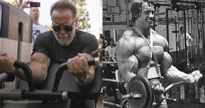 Did Arnold Schwarzenegger Go To College?