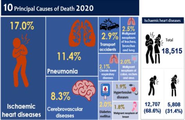 Is Roger Cook Sick? His Health Update, Illness, Heart Attack, Cancer, Facts