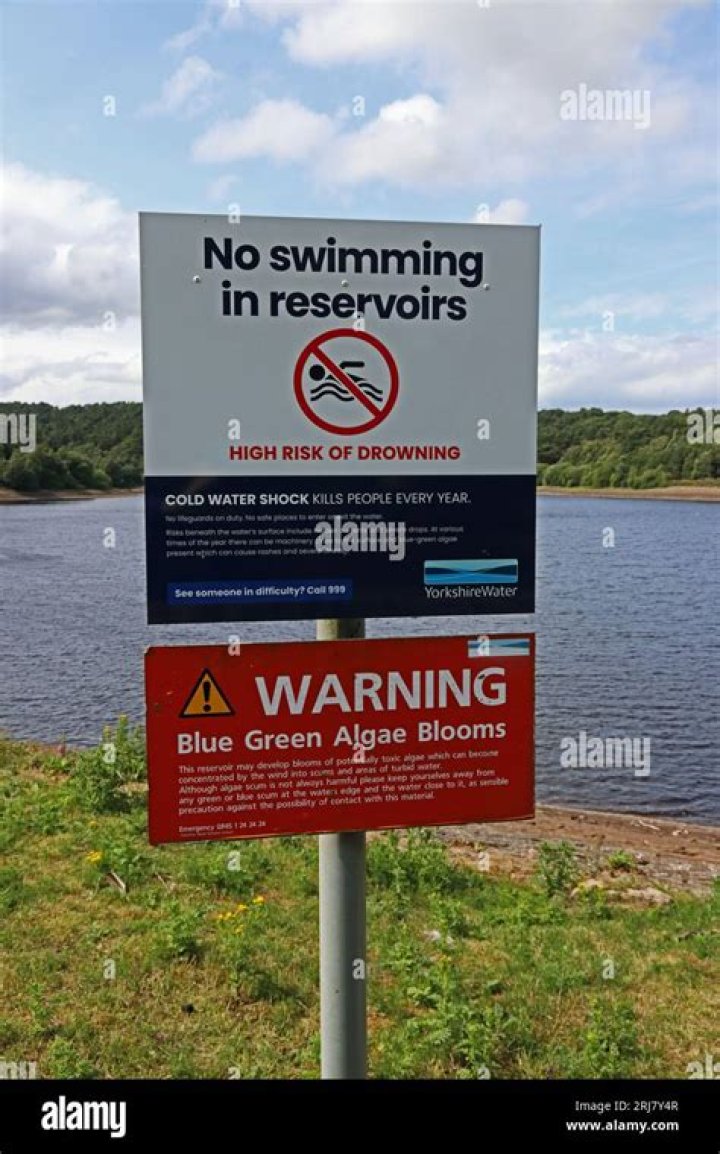 Reservoir Signs Young M.A To Global Publishing Deal