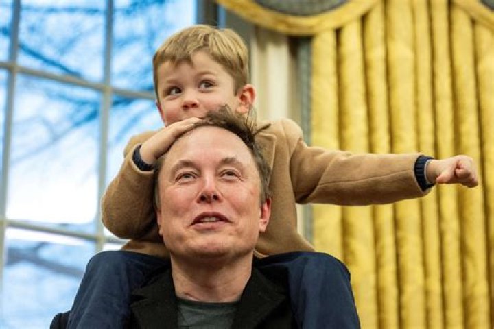 What is Elon Musk's Favorite Color?